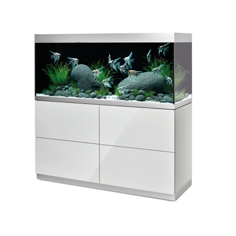 Aqua One Betta Sanctuary 10 L aquarium chasseur siamois aquarium aquarium  aquari