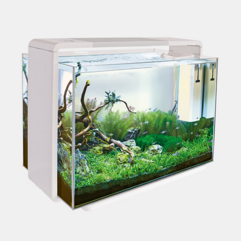 Vijandig blozen mooi Superfish Home 110 Aquarium - Perfect Aquatics