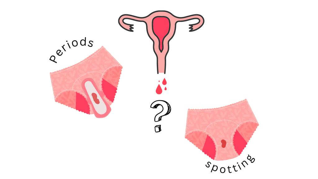 What is the difference between periods and spotting