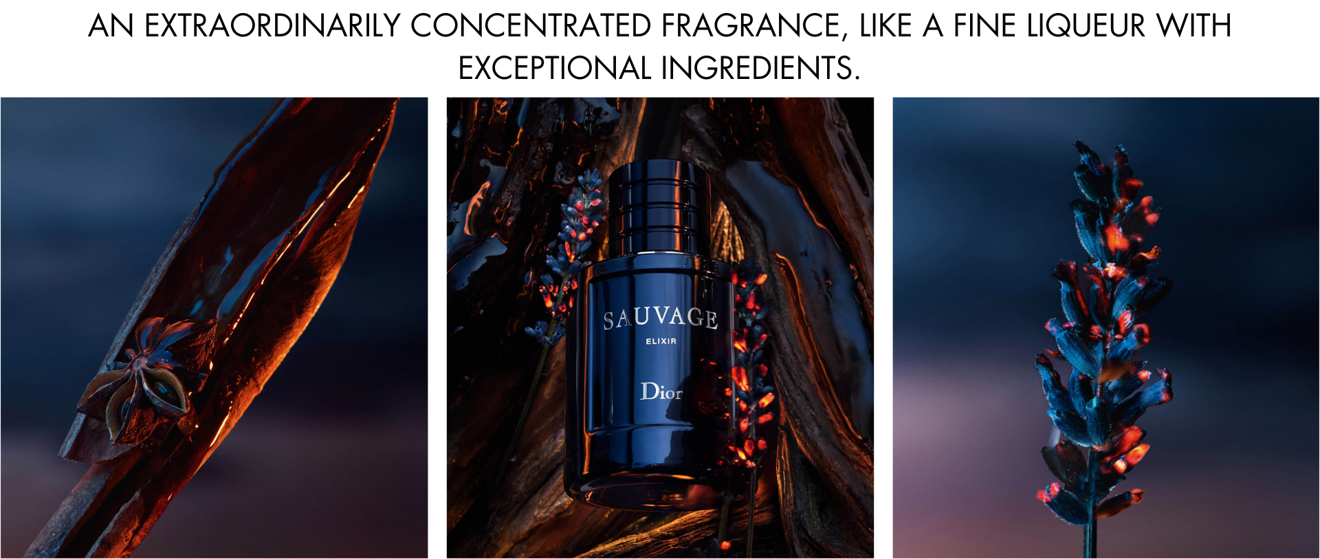 About Dior Sauvage Elixir Fragrance Notes
