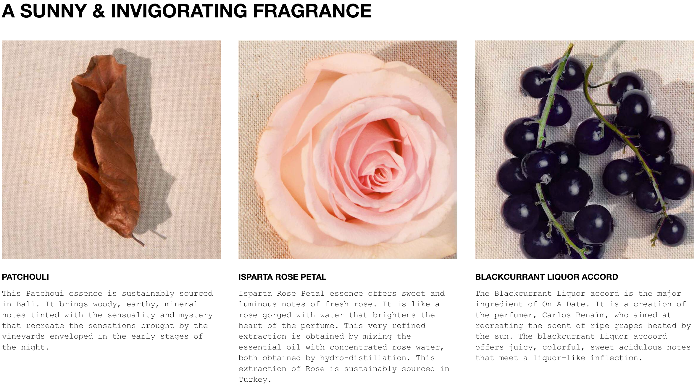 Maison Margiela Replica On a date Fragrance Description.
