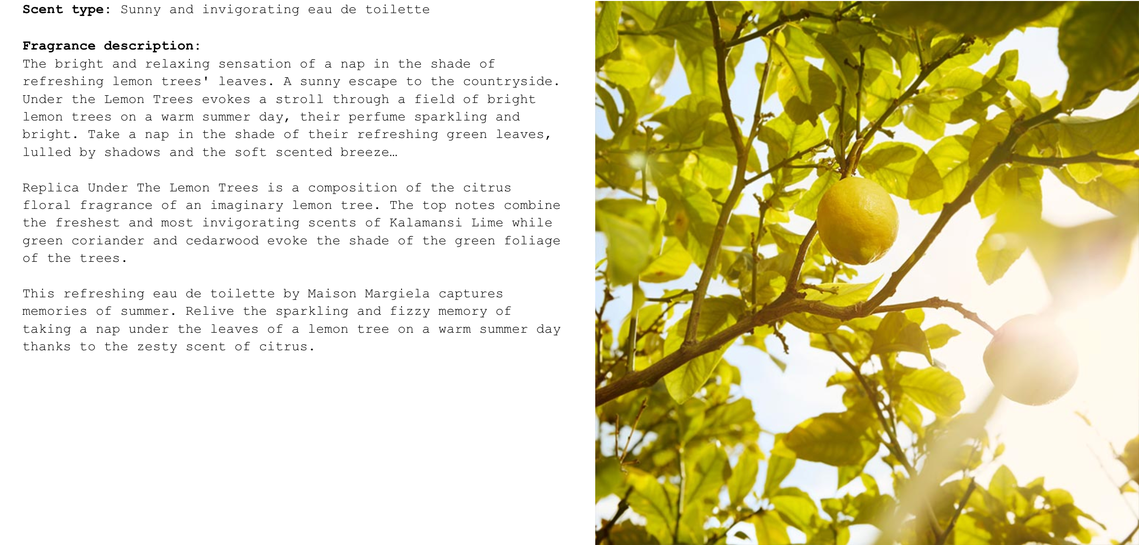 Maison Margiela Replica Under the Lemon Trees Eau de Toilette Product Description.
