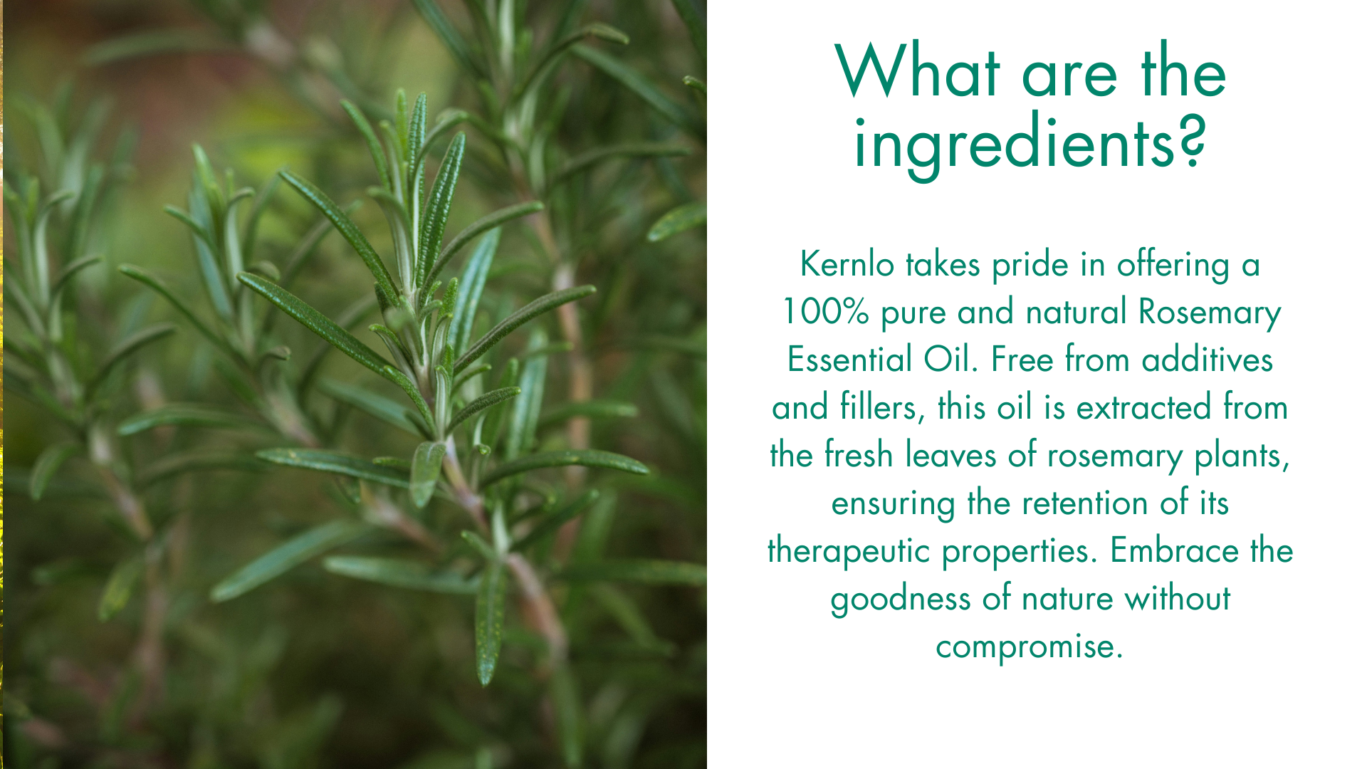 What are the ingredients used in Kernlo Rosemary Oil? Kernlo takes pride in offering a 100% pure and natural Rosemary Essential Oil. Free from additives and fillers, this oil is extracted from the fresh leaves of rosemary plants, ensuring the retention of its therapeutic properties. Embrace the goodness of nature without compromise.