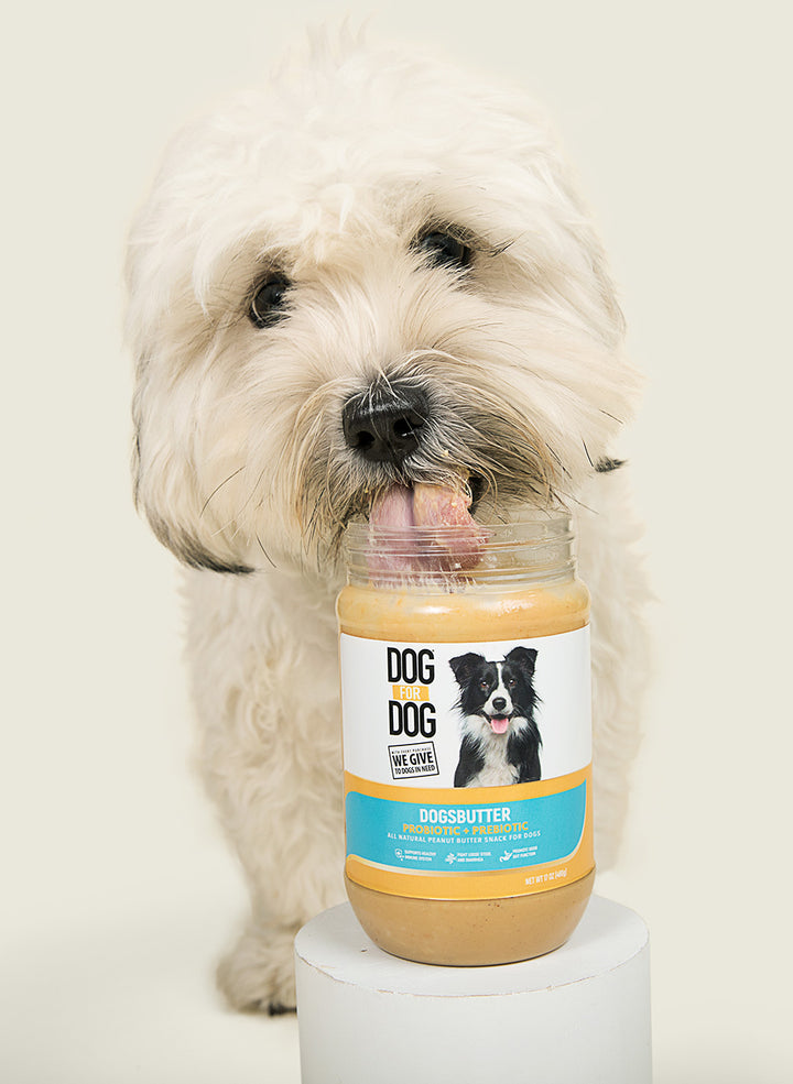 can peanut butter cause loose stools in dogs