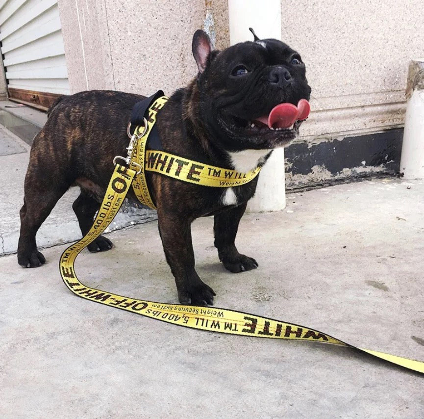 off white dog harness