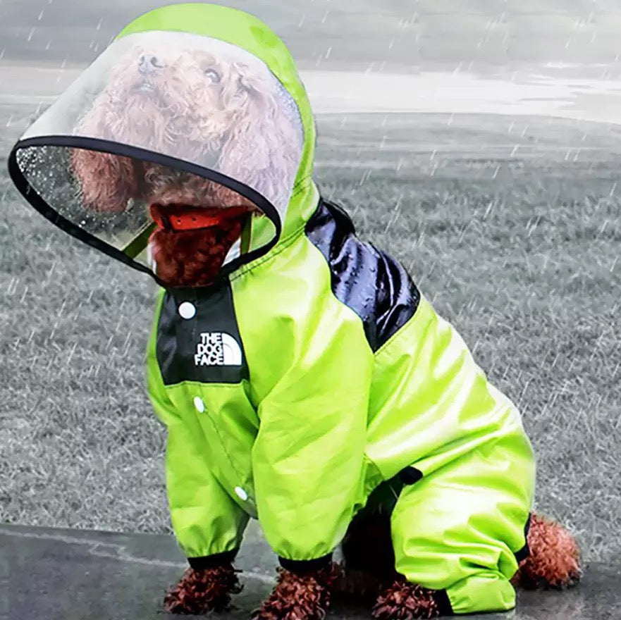 the dog face raincoat