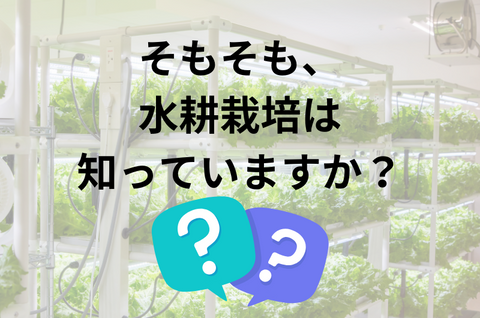 そもそも、水耕栽培は知っていますか？