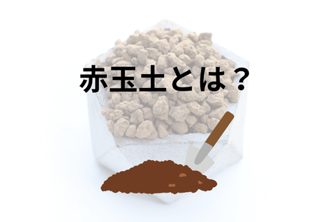 赤玉土とは？