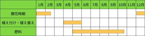 ポインセチアの栽培カレンダー