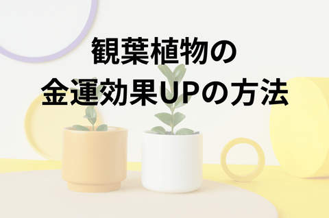 鉢の色や置く方角に拘ることで、観葉植物の金運効果UP！