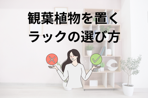 観葉植物を置くラックの選び方