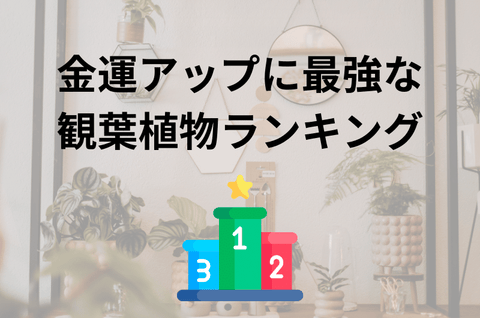 金運アップに最強な観葉植物ランキング