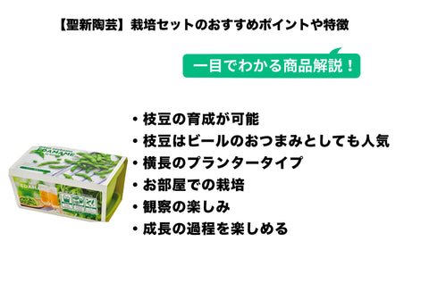 聖新陶芸 家庭菜園 簡単 栽培キット えだまめ