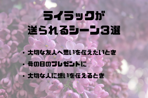 ライラックの花言葉にあった贈り物のシーン