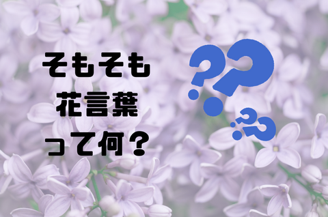 そもそも花言葉とは？