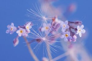 春の花の飾り方