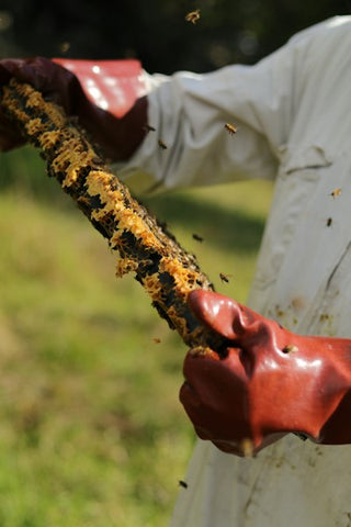 蜂の巣駆除の使い方
