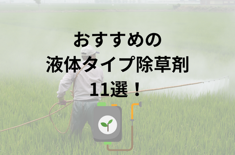 通販で購入できるおすすめの液体タイプの除草剤11選