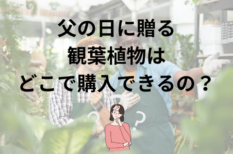 父の日に贈る観葉植物はどこで購入できるの？