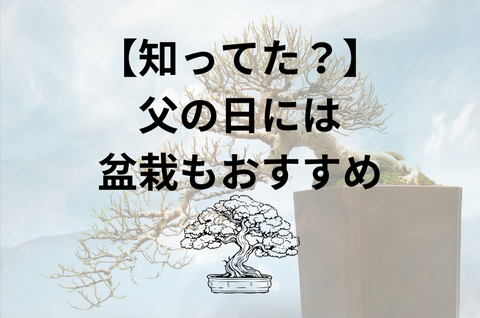 【知ってた？】父の日には盆栽もおすすめ