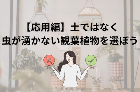 【応用】土ではなく虫がわかない観葉植物を選ぶ