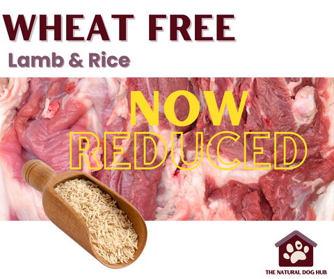 Wheat free-hypoallergenic-dog-food-lamb and rice