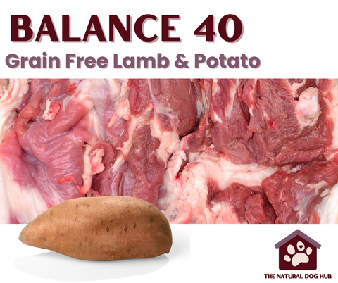 Grain free-hypoallergenic-lamb and sweet potato-dog food