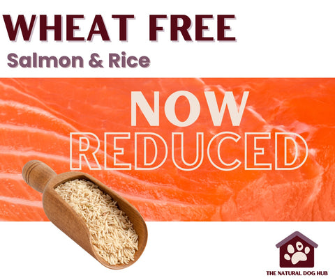 Wheat free-salmon and rice-hypoallergenic-dog food