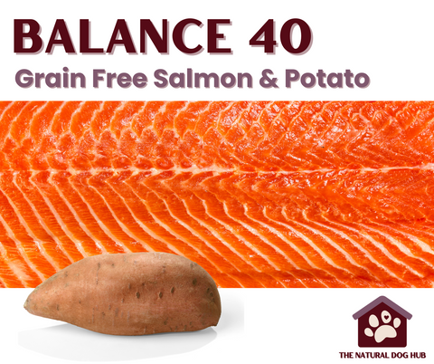 Grain free-natural-dog food-hypoallergenic-salmon and potato