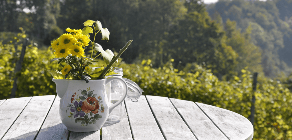 Pot de Fleurs sur une Table avec Fond Nature