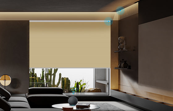 Blackout Cellular shades is raised, and the light penetrates into the simple living room.