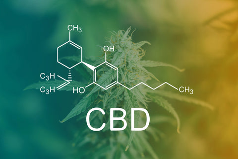 what is CBD