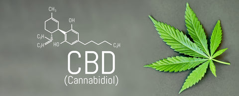 what is CBD