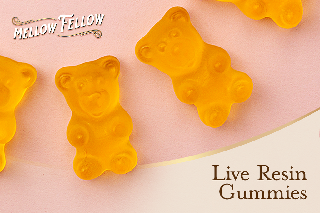 Some yellow-colored Mellow Fellow's Live Resin gummies are placed on a pink surface