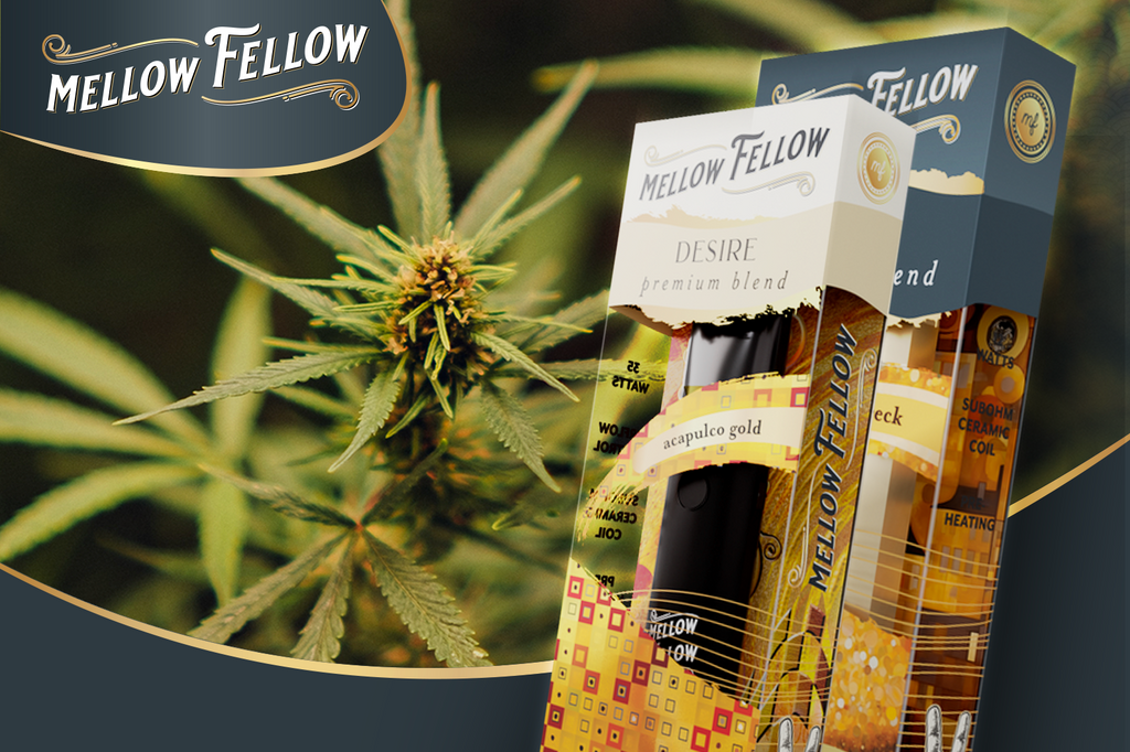 THCh products from Mellow Fellow with a marijuana plant behind them.