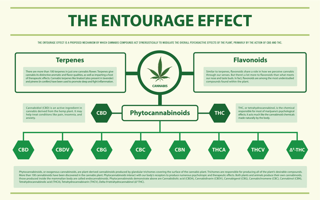 what is the entourage effect