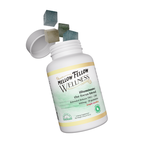 A container of Mellow Fellow WELLNESS illuminate with focus blend, gummies falling in