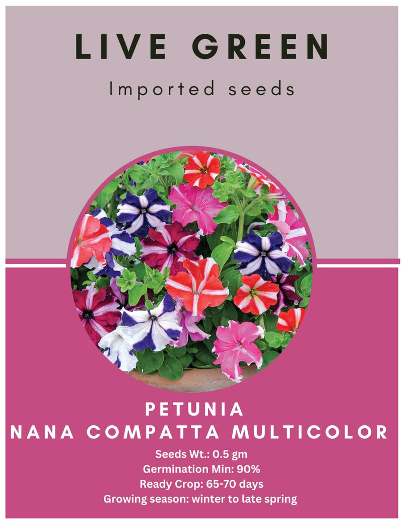 Live Green Imported Seeds - Petunia Nana Comapatta Mix Flower Seeds Dwarf Variety - Pack of 0.5gm Seeds