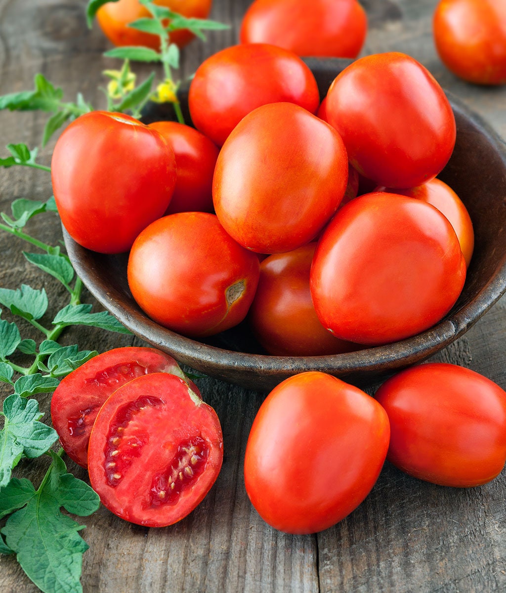 30+ Organic Brandywine Tomato Seeds-Solanum lycopersicum- Open Pollina –  asho8744