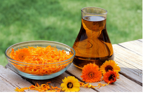 bowl of organic calendula with jar of oil