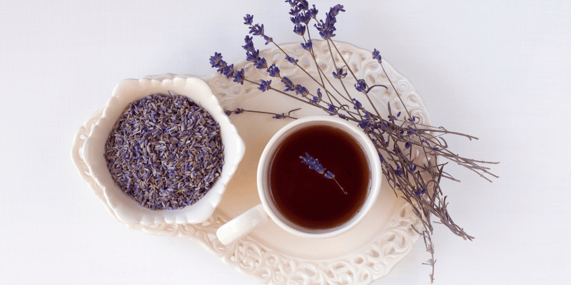 Lavender has many uses and is prized for its aromatic scent.
