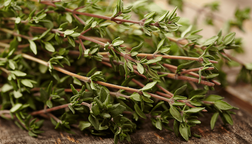 Ora's Amazing Herbal: All Natural Ingredients: Thyme