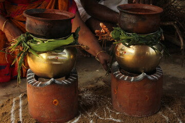 Pongal-Festival-Celebration