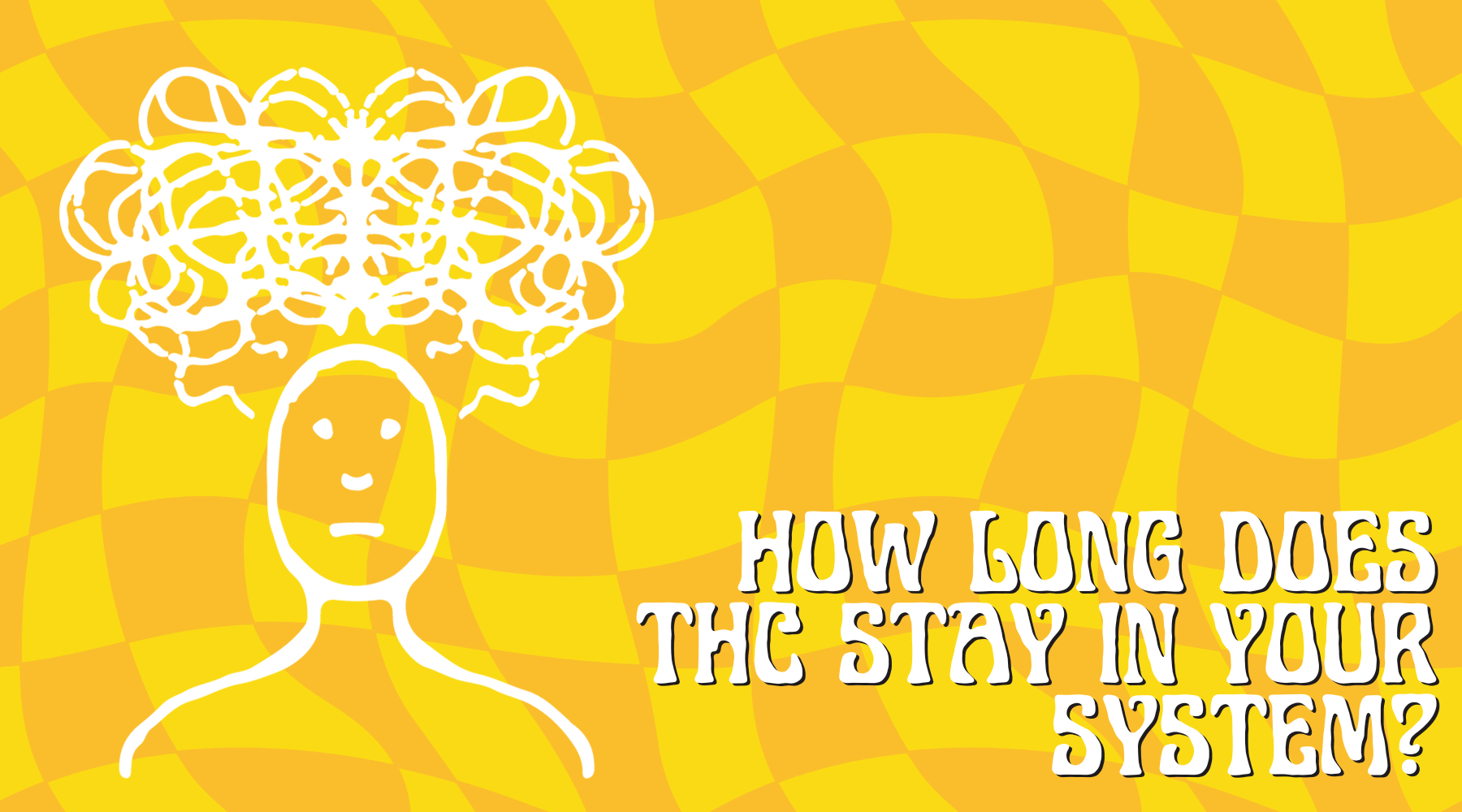 a drawing of a confused person on a yellow and orange checkered background with text that reads "how long does THC stay in your system"