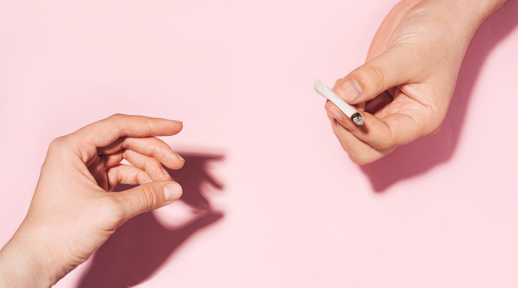 Two hands passing a smoldering cannabis joint to one another on a baby pink background