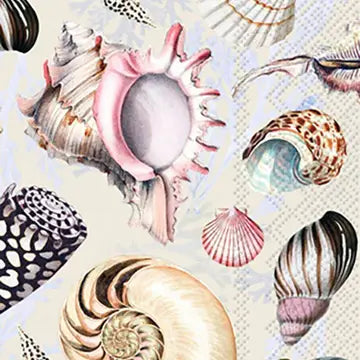 Shells Guest Towels, S/16