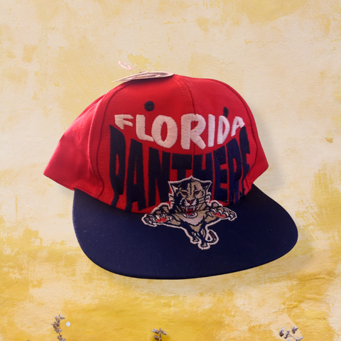 Buy Florida Panthers NHL Hockey Snapback Cap Vintage by Apex One