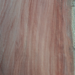Brushbox (Lophostemon confertus) wood grain