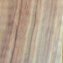 Italian Cypress (Cupressus sempervirens) wood grain