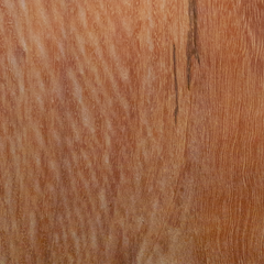 eucalyptus robusta wood grain